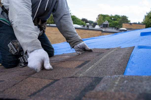 Best Metal Roofing Contractor  in Wellsville, OH