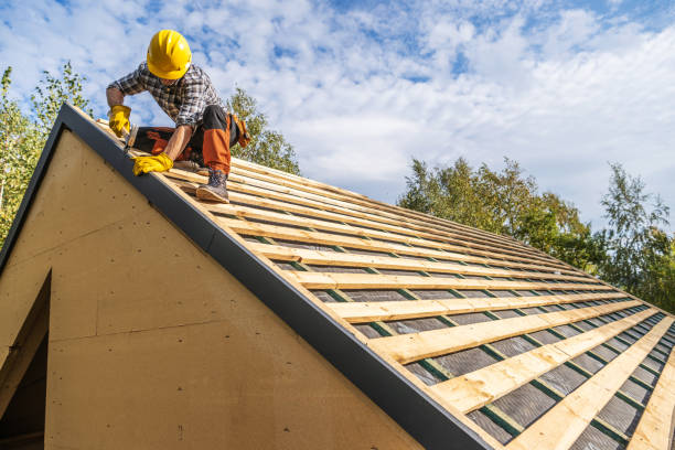 Best Roof Gutter Cleaning  in Wellsville, OH